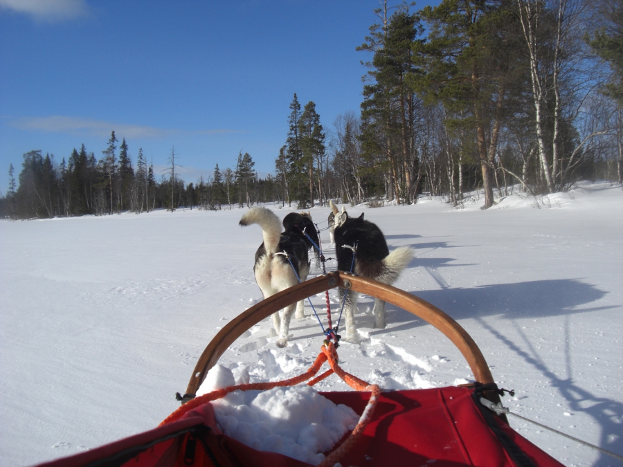 Wintersport Idre Fjäll